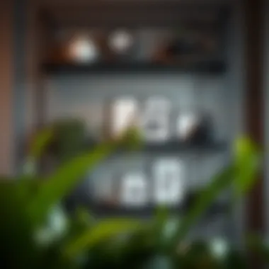 Elegant black industrial shelves with plants and art