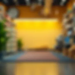 Exploring Lowe's Plastic Floor Runners: A Comprehensive Guide Introduction