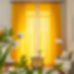 Exploring Soft Yellow Sheer Curtains: Design, Functionality, and Aesthetics Introduction