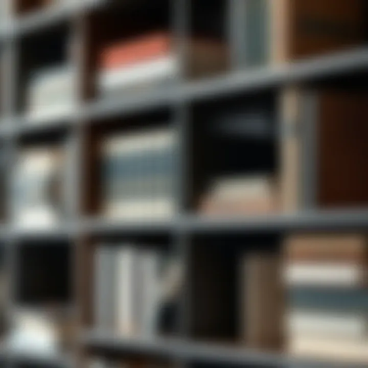 Close-up of materials and finishes on black and brown bookshelves