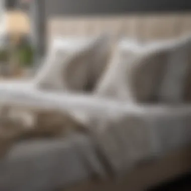 Eco-Friendly Bedding Accessories Eco-friendly bedding accessories for soft king beds