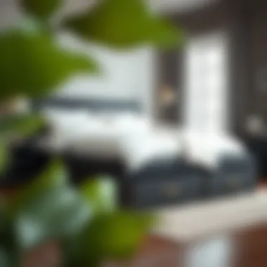 Notable Exploring the Black Queen Bed with Storage Drawers