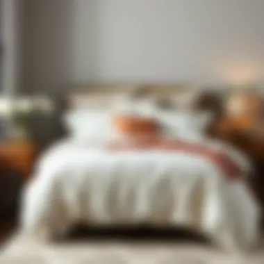 Exploring the Essence of a Queen Duvet Set in Cotton Summary