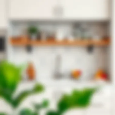 Notable Exploring the Space Behind the Kitchen Sink Shelf: Storage, Design, and Functionality Notable Exploring the Space Behind the Kitchen Sink Shelf: Storage, Design, and Functionality