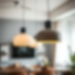 Exploring the Versatility of Plastic Pendant Lights Introduction