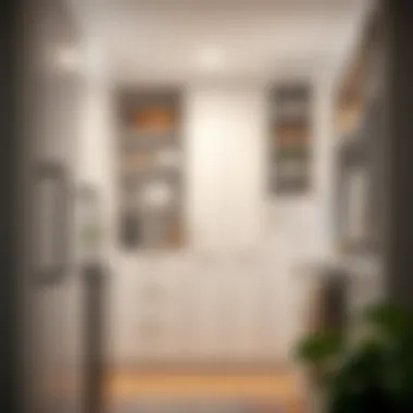 Versatile Storage Options for Kitchen Closets Versatile storage options for kitchen closets, highlighting functionality