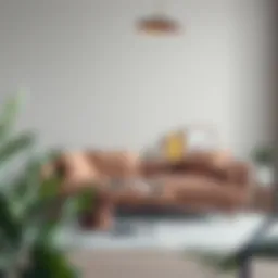 Navigating the World of Affordable Minimalist Couches Introduction