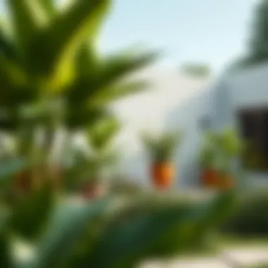 Notable The Role of Large Garden Plants in Modern Landscapes