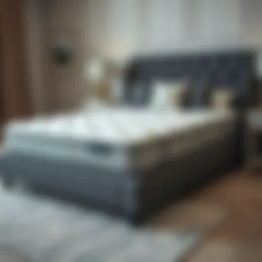 Notable Understanding California King Deep Pocket Mattress Pads Notable Understanding California King Deep Pocket Mattress Pads