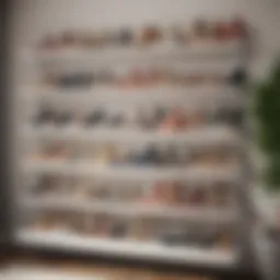 Stylish wall shelf displaying an organized collection of shoes